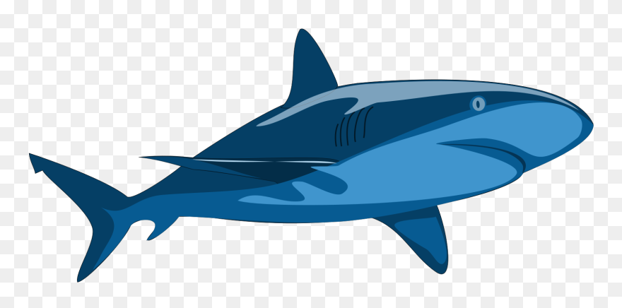 Shark Snow Cone Clipart