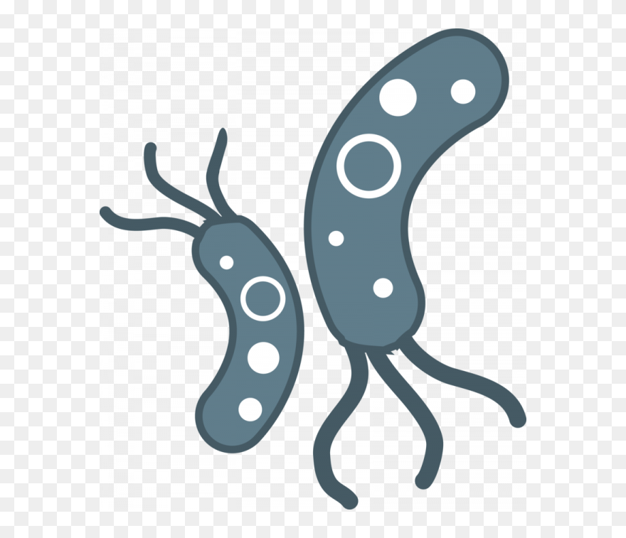 Transparent Background Bacteria Clipart - Png Download