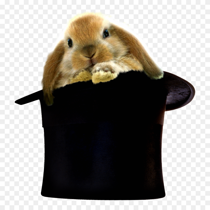 Rpg Setting - Divergent hogwarts - Rabbit Magic Hat Clipart (#5723734 ...