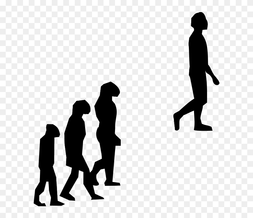 Human Evolution Clipart