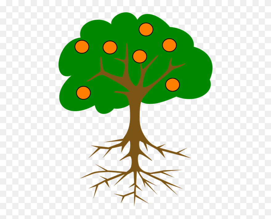 Tree With Roots And Fruits Clipart