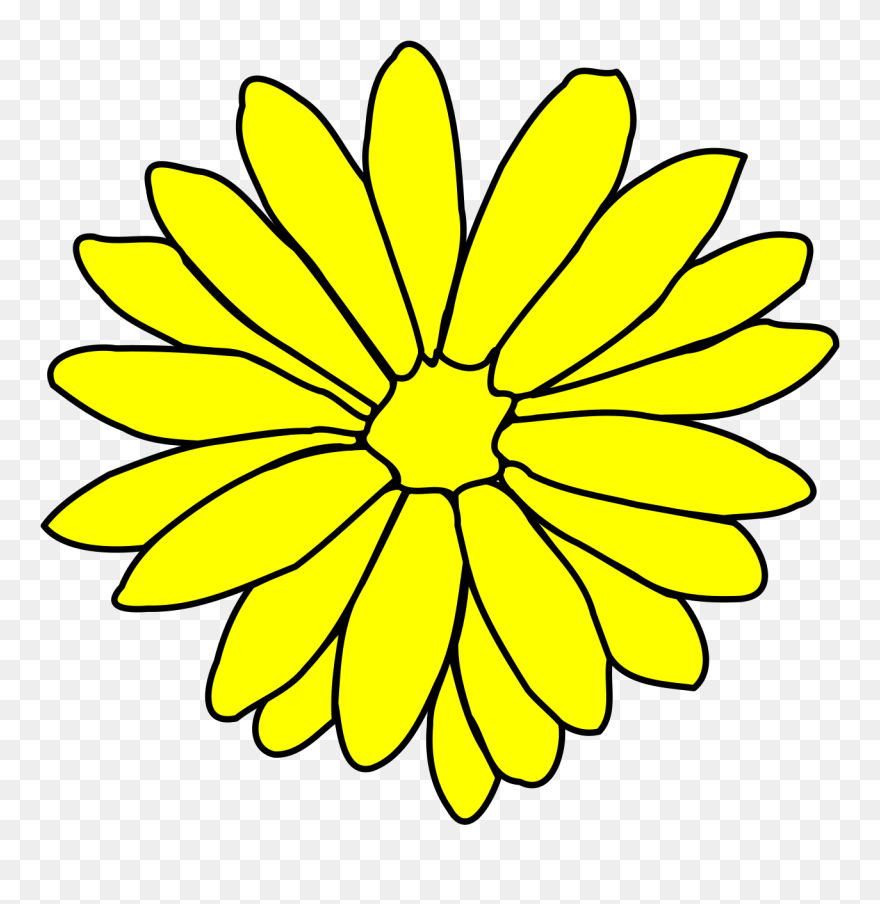 Pink Daisy Clipart - Png Download