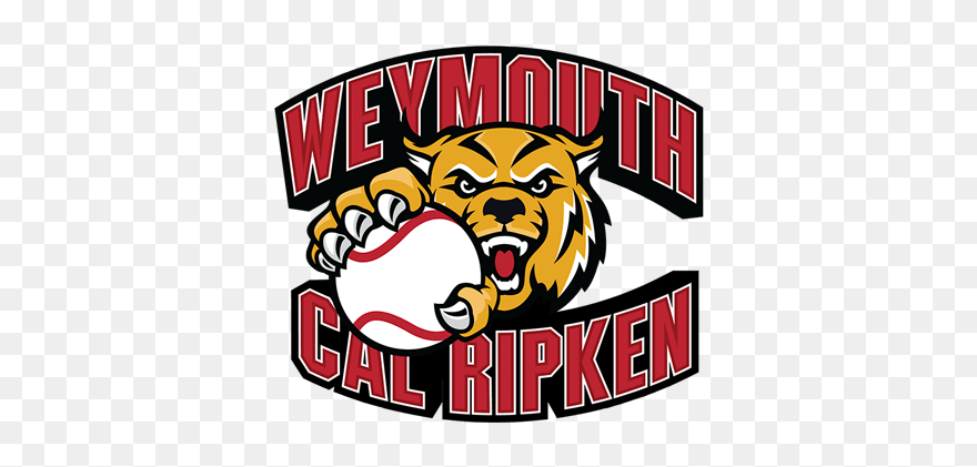 Illustration Clipart