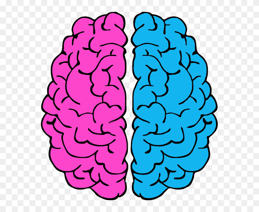 Do You Love Your Ex - Brain Drawings Clipart
