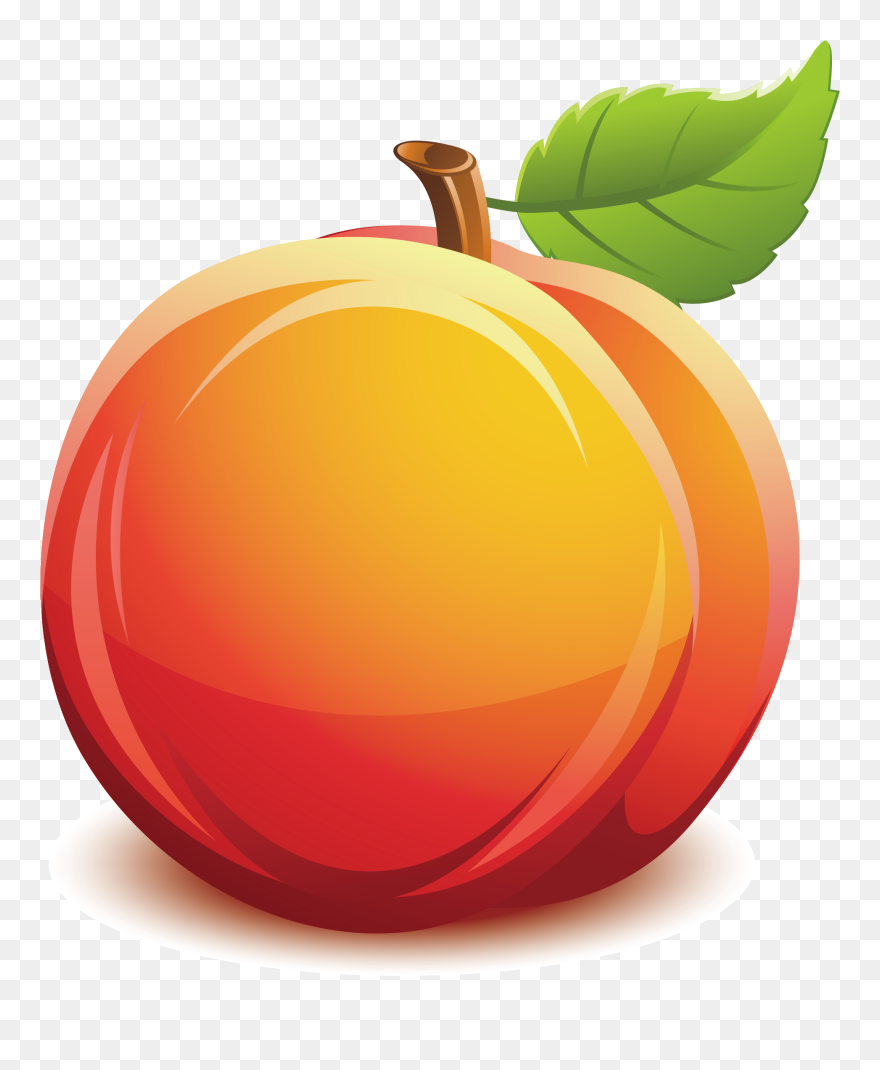 Peach Tree Clipart Image Black And White Download Nectarine - Nectarine Clipart - Png Download
