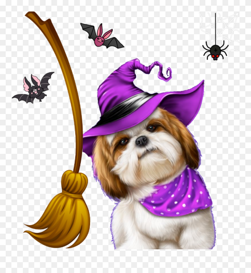 Cartoon Broom Png Clipart