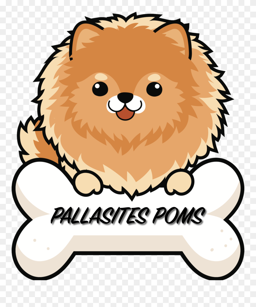 Cute Pom Puppy Cartoon Clipart