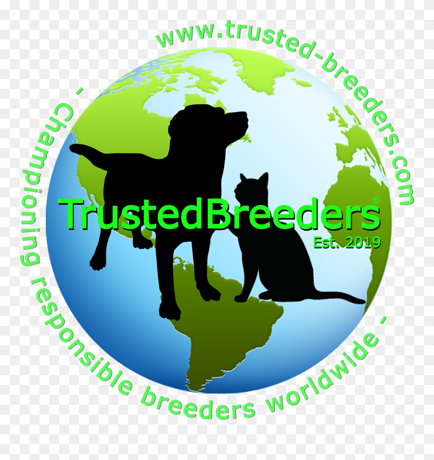 Colegio Aguila Clipart