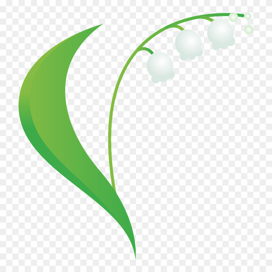 Lily Of The Valley Clipart - 無料 イラスト スズラン - Png Download