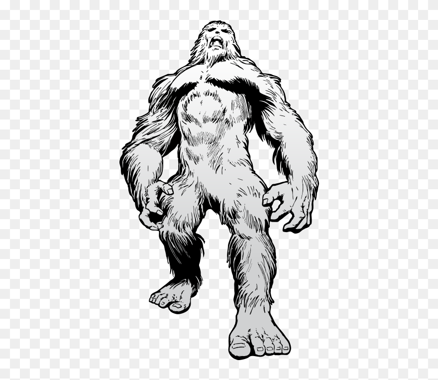 Bigfoot Drawing Transparent For Free Download - Bigfoot Black And White Clipart - Png Download