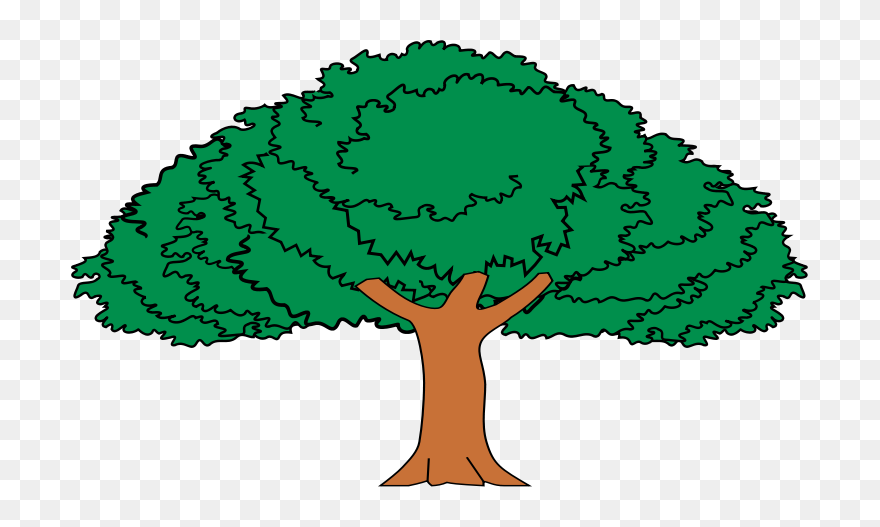Arbol De Guanacaste Mueble Heraldico - Arbol Nacional De Costa Rica Para Dibujar Clipart