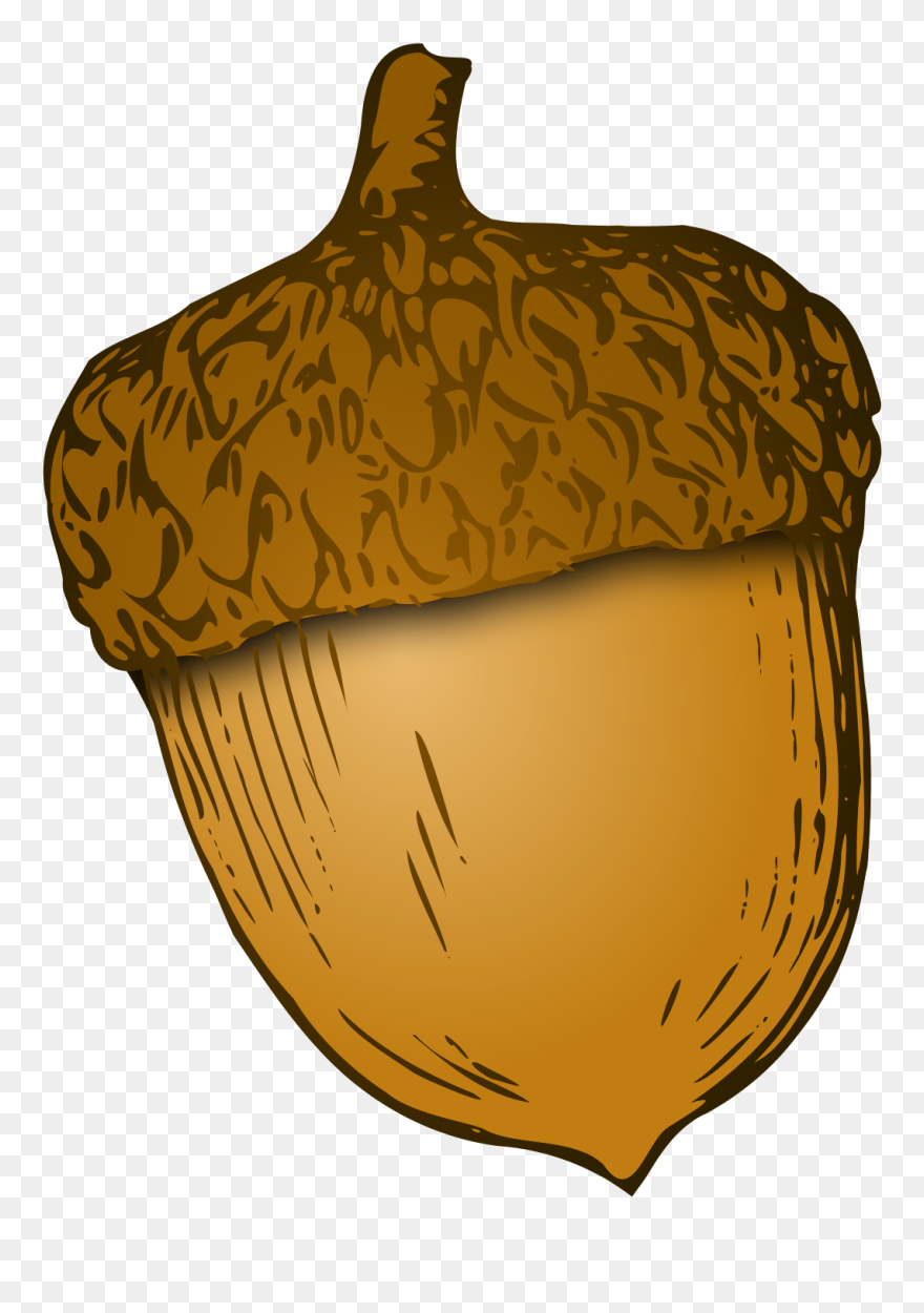 Acorn Nuts Clipart - Png Download