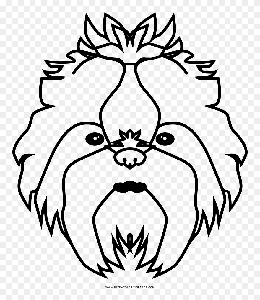 Shih Tzu Coloring Page - Shih Tzu Face Coloring Page Clipart