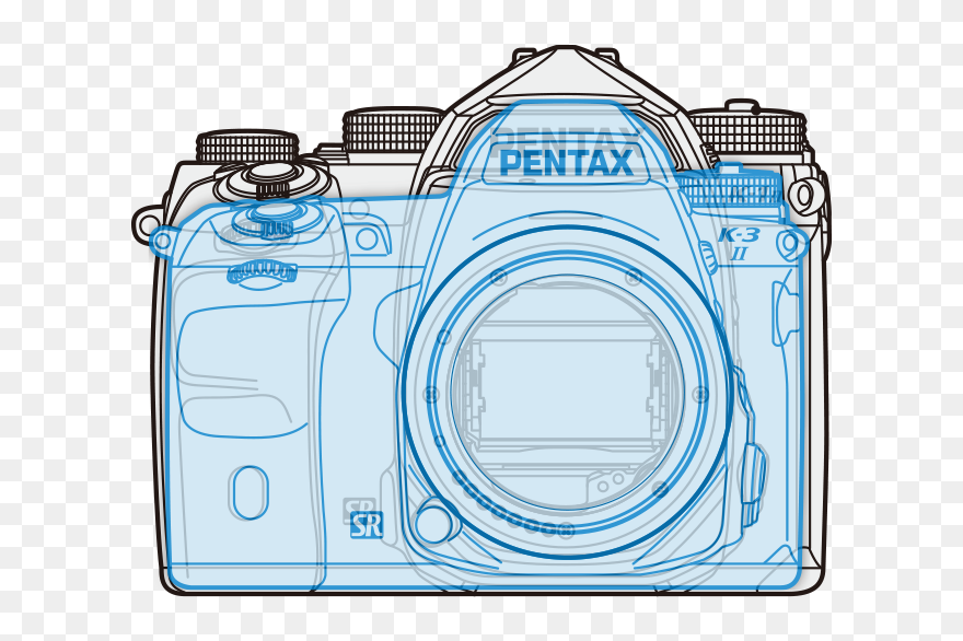 Clip Art - Png Download