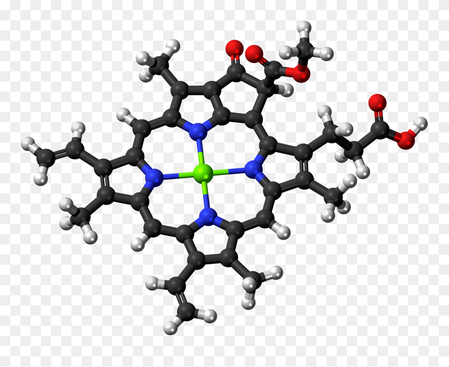 Chlorophyll C2 Molecule* - Stearic Acid Molecule Clipart