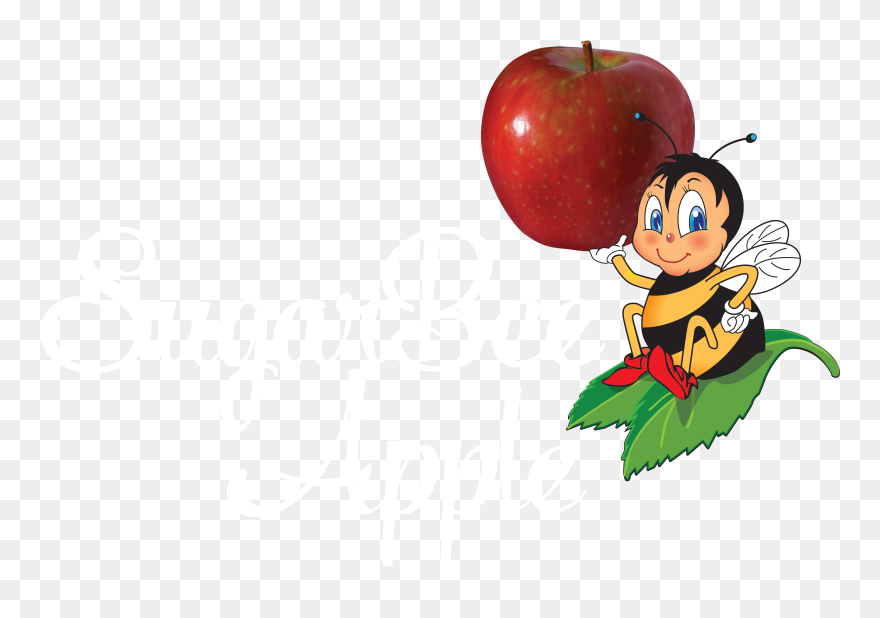 Apple Cranberry Clipart Clip Transparent Download Chelan - Sugarbee Apples - Png Download