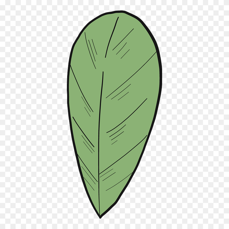 Cranberry Leaf Clipart - Png Download