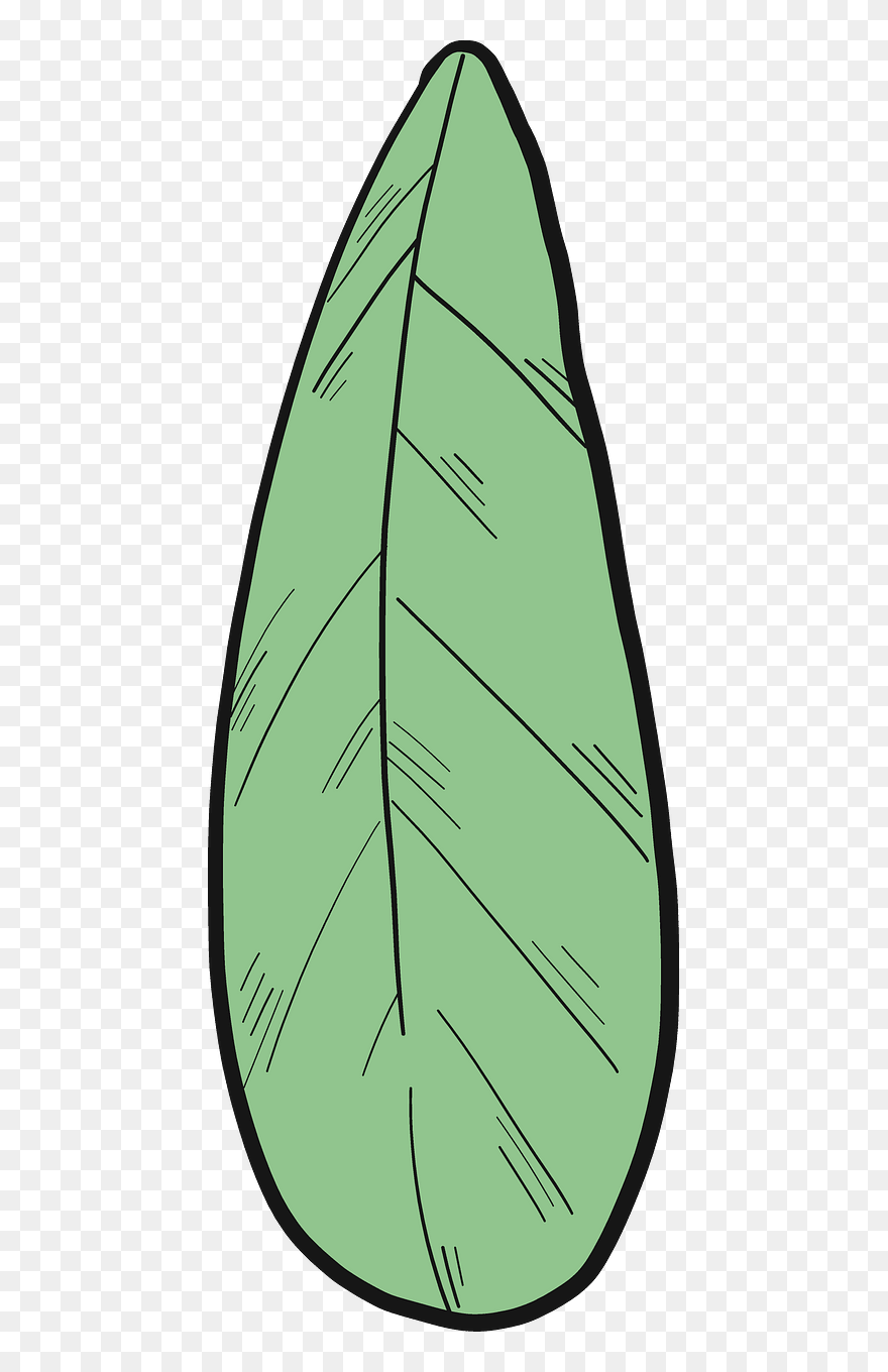 Clip Art - Png Download