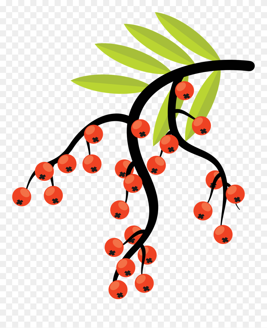 Clip Art - Png Download