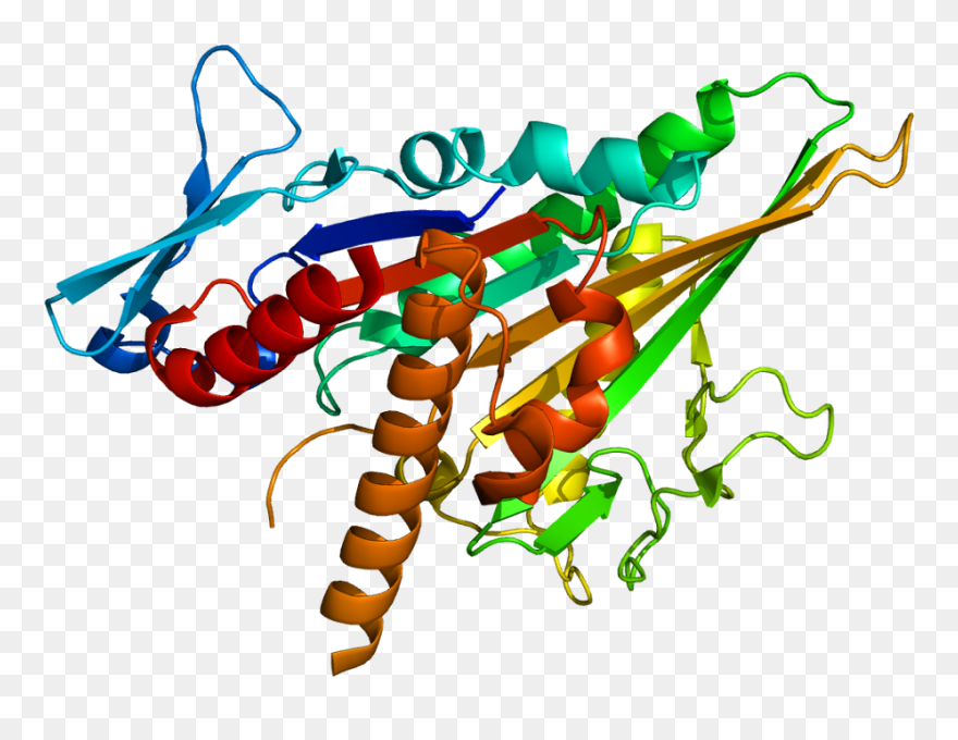 Protein Kifc3 Pdb 2h58 - Gfap Pdb Clipart