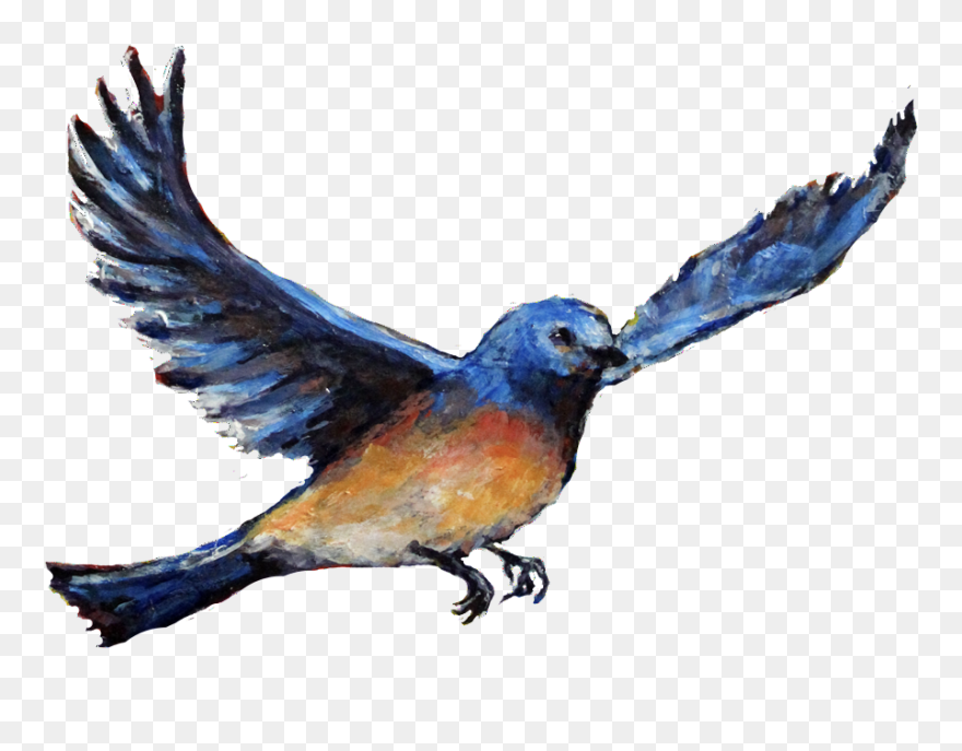 Hd Mountain Bluebird Transparent Png Image Download - Watercolor Bird Png Clipart