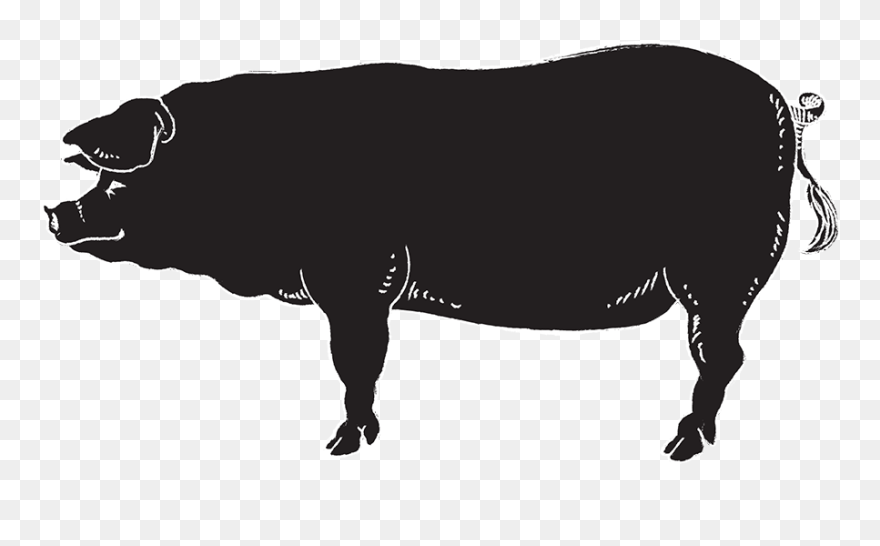 Bull Clipart