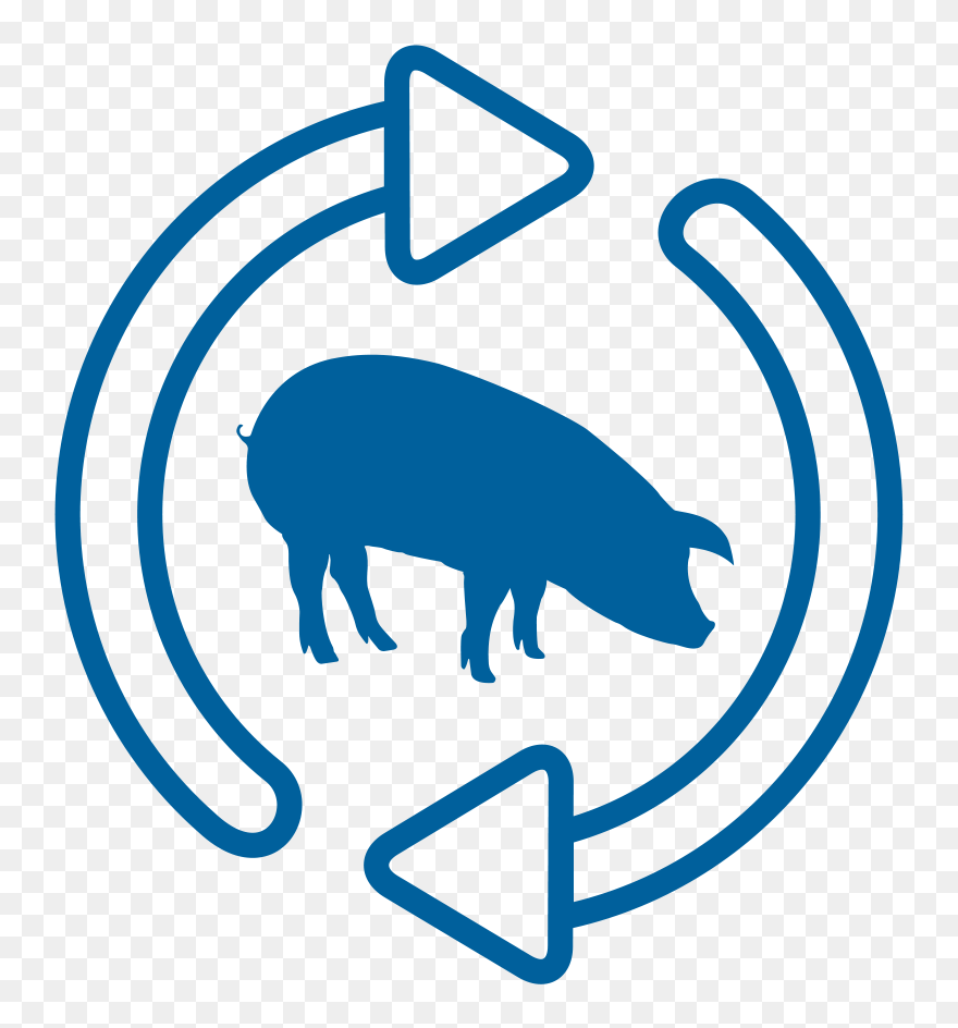 Clip Art - Png Download