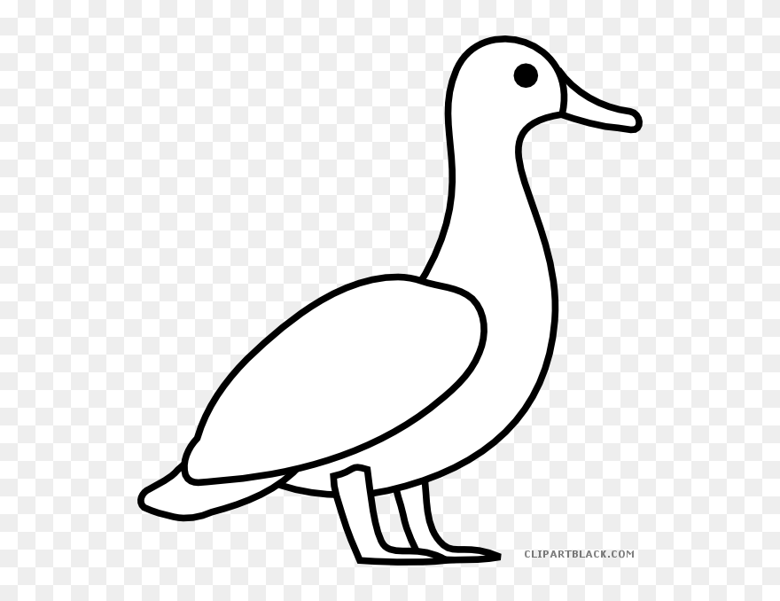 Duck Outline Animal Free Black White Clipart Images - Duck Outline Clipart - Png Download