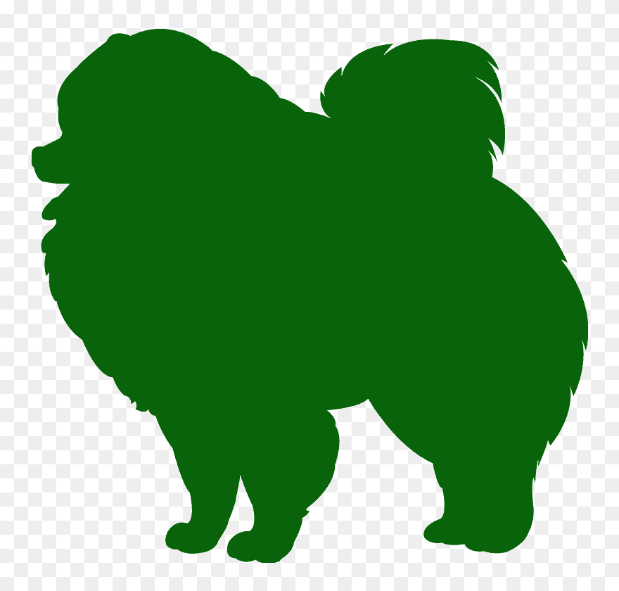 Lulu Da Pomerania Vetor Clipart