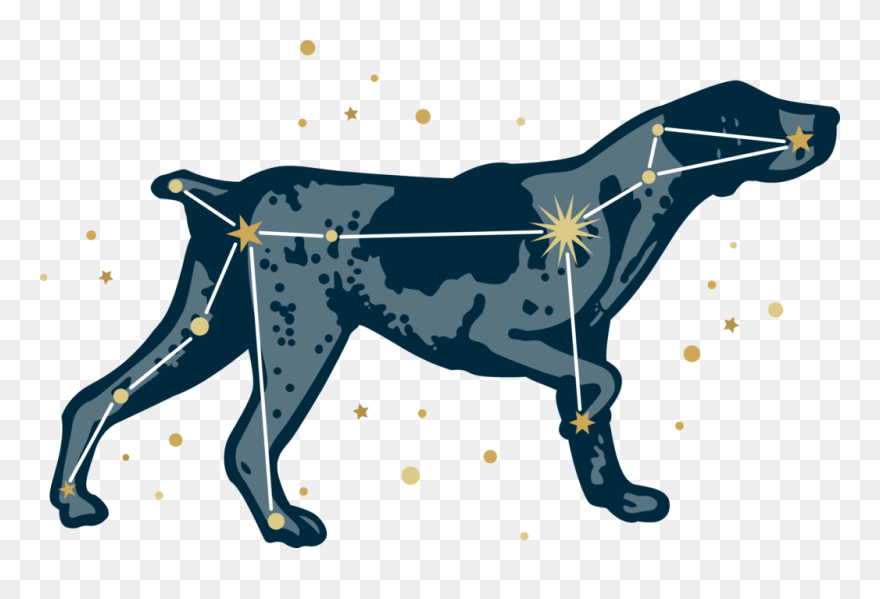 Dog Clipart