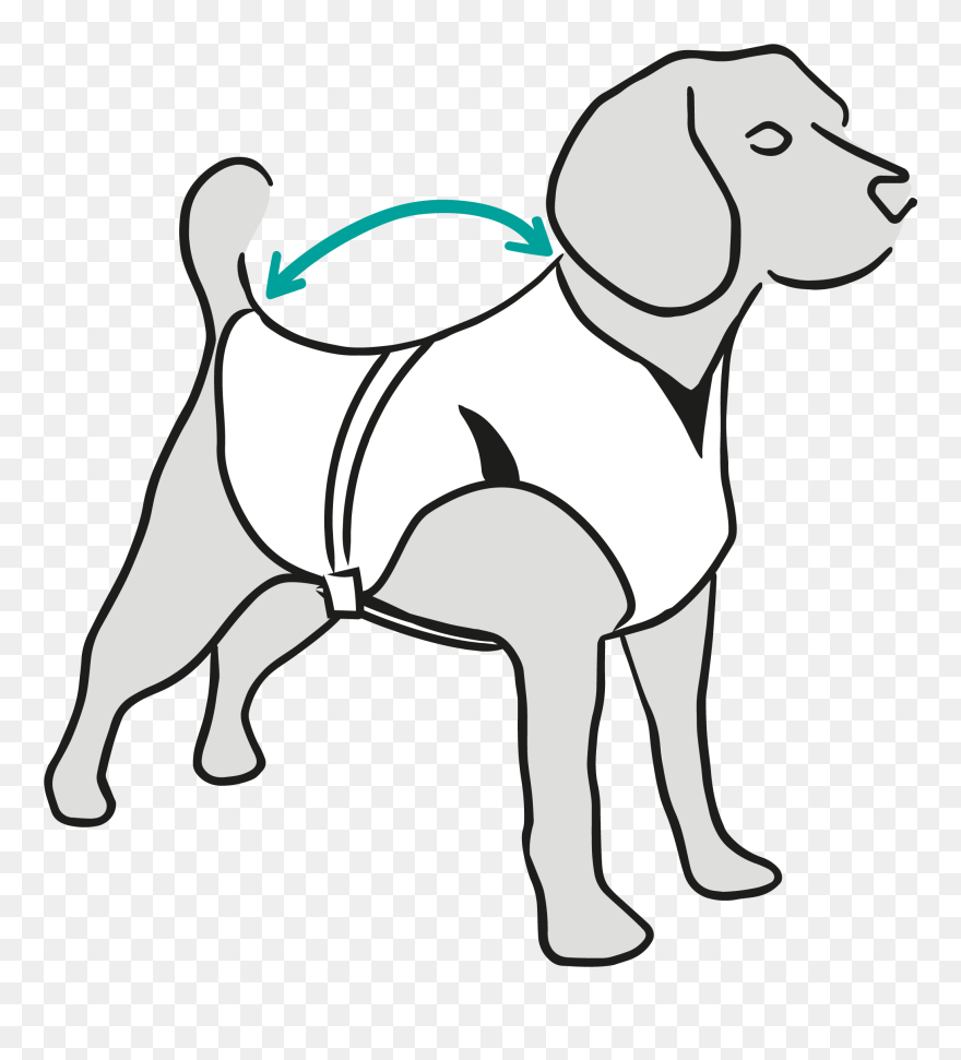 Medical Pet Shirt Jumper Clipart