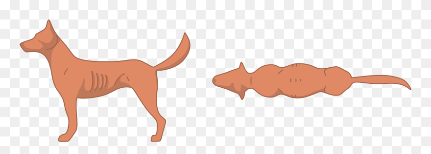 Dog Calorie Calculator Clipart