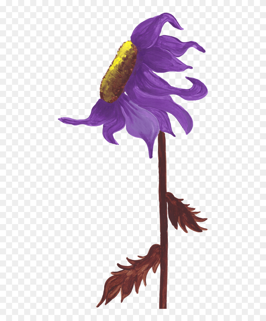 Purple Sunflower Studio - Illustration Clipart
