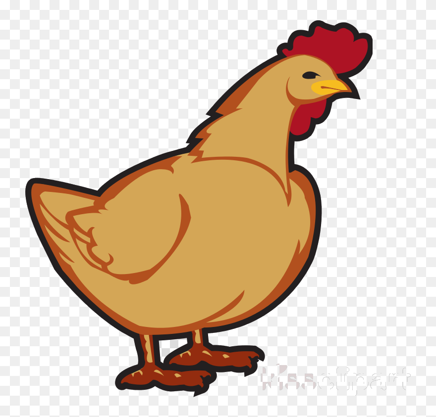 Chicken Clipart Transparent - Transparent Background Chicken Clipart Png