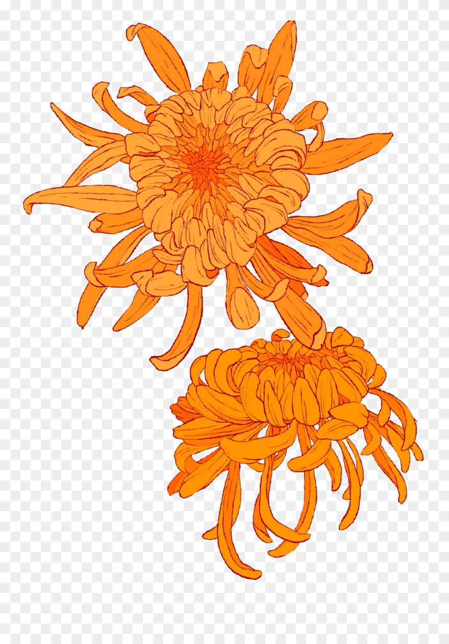 The Future Of Data Storage Is Hidden In Plain Sight - Sunflower Clipart