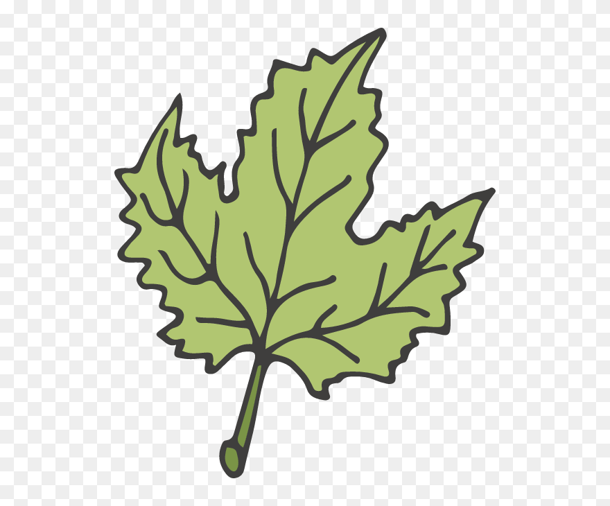 Clip Art - Png Download