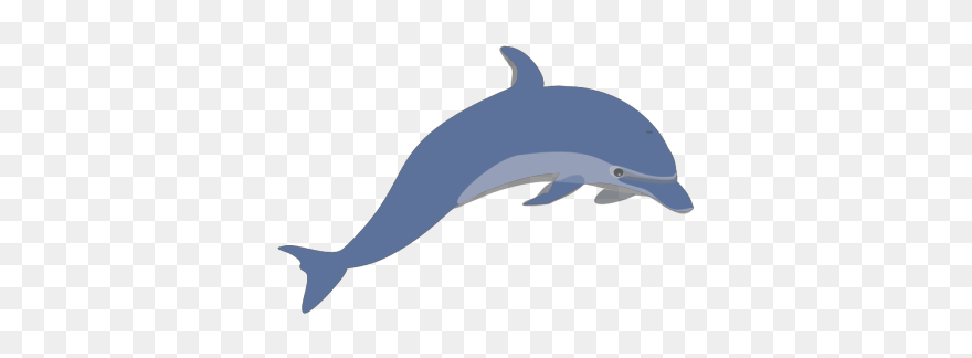 Dolphin 3 Png Clip Art - Dauphin Clipart Transparent Png
