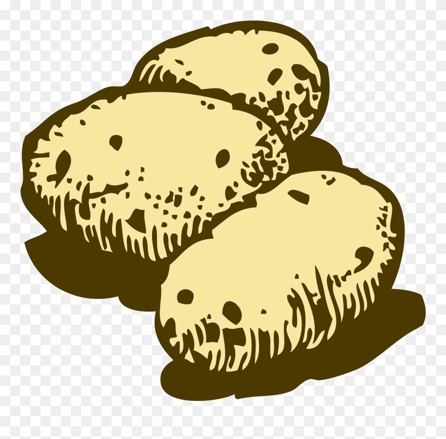 Potato Vector Clipart
