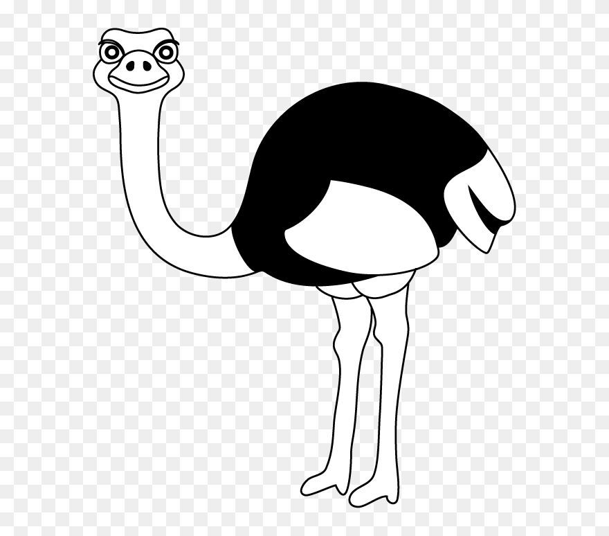 Head Clipart Emu - Ostrich Black And White Clip Art - Png Download