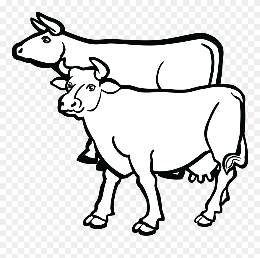 Holstein Friesian Cattle Beef Cattle British White - Black And White Cow Clipart - Png Download