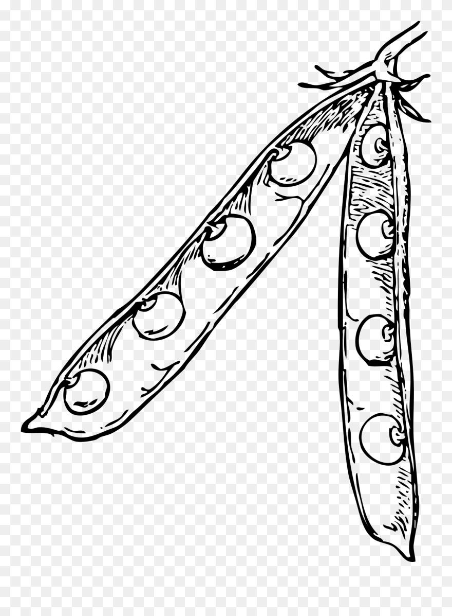 Vegetable Clip Art Black And White - Png Download