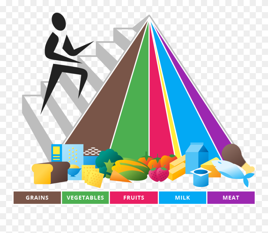 Old New Old Food Pyramid Clipart