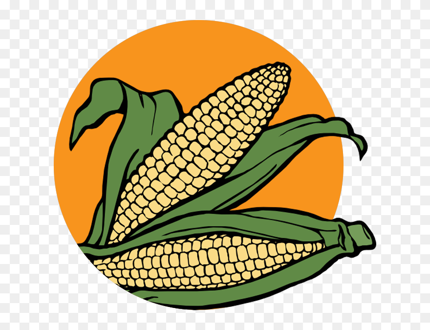 Corn - Maize Clipart - Png Download