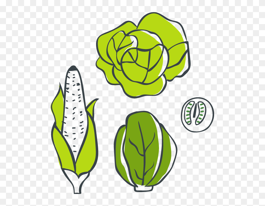 Clip Art - Png Download