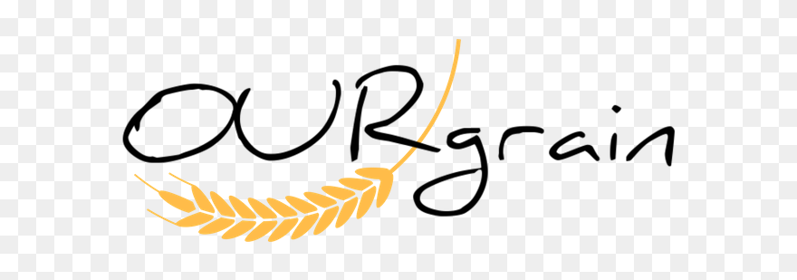 Grains Food Group Clipart - Png Download