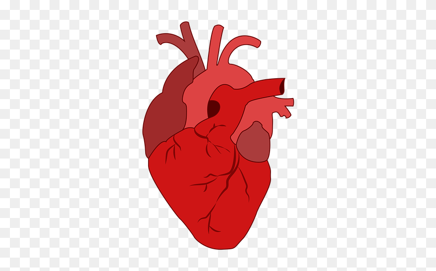 Heart-2970152 480 - Medical Valentine Cards Clipart