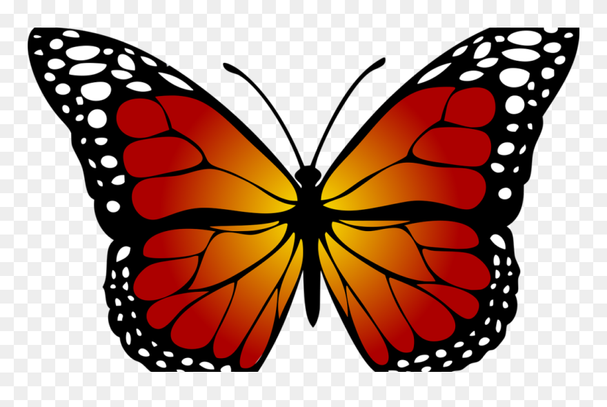 Metamorphosis And Transformation - Butterflies Black And White Clipart