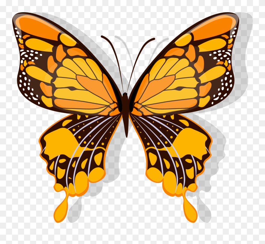 Monarch Butterfly Clipart