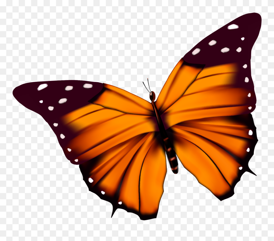 Cartoon Butterfly With Transparent Background Clipart