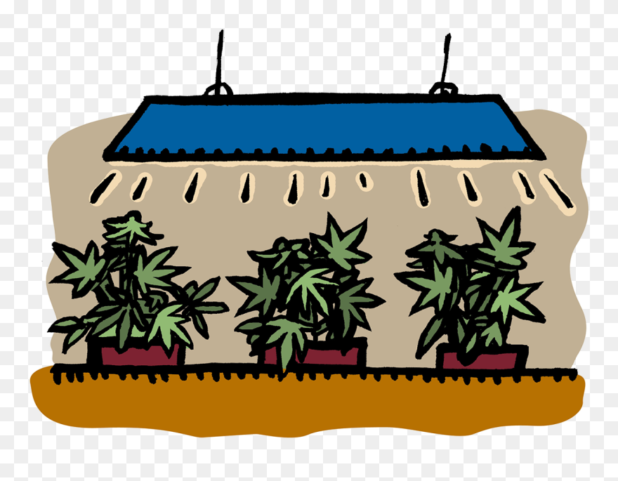 Clip Art - Png Download